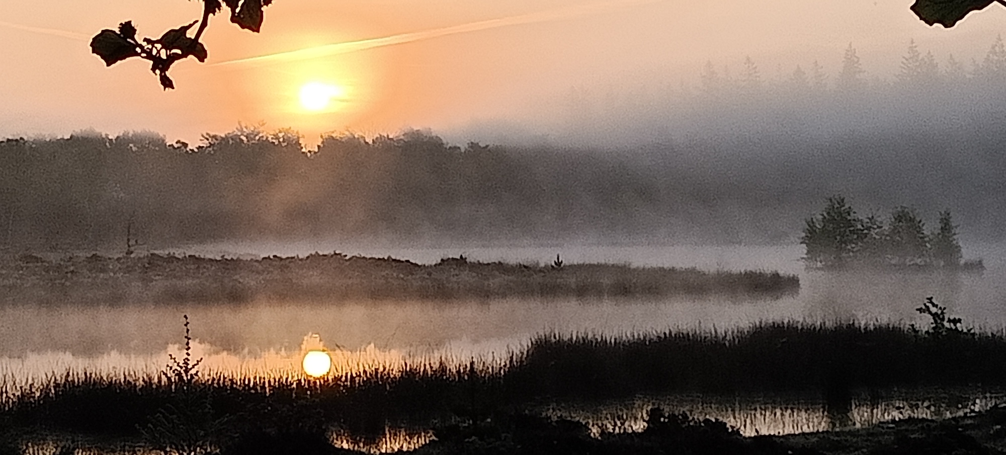 Zen.nl, Zen, meditatie, leren mediteren, foto